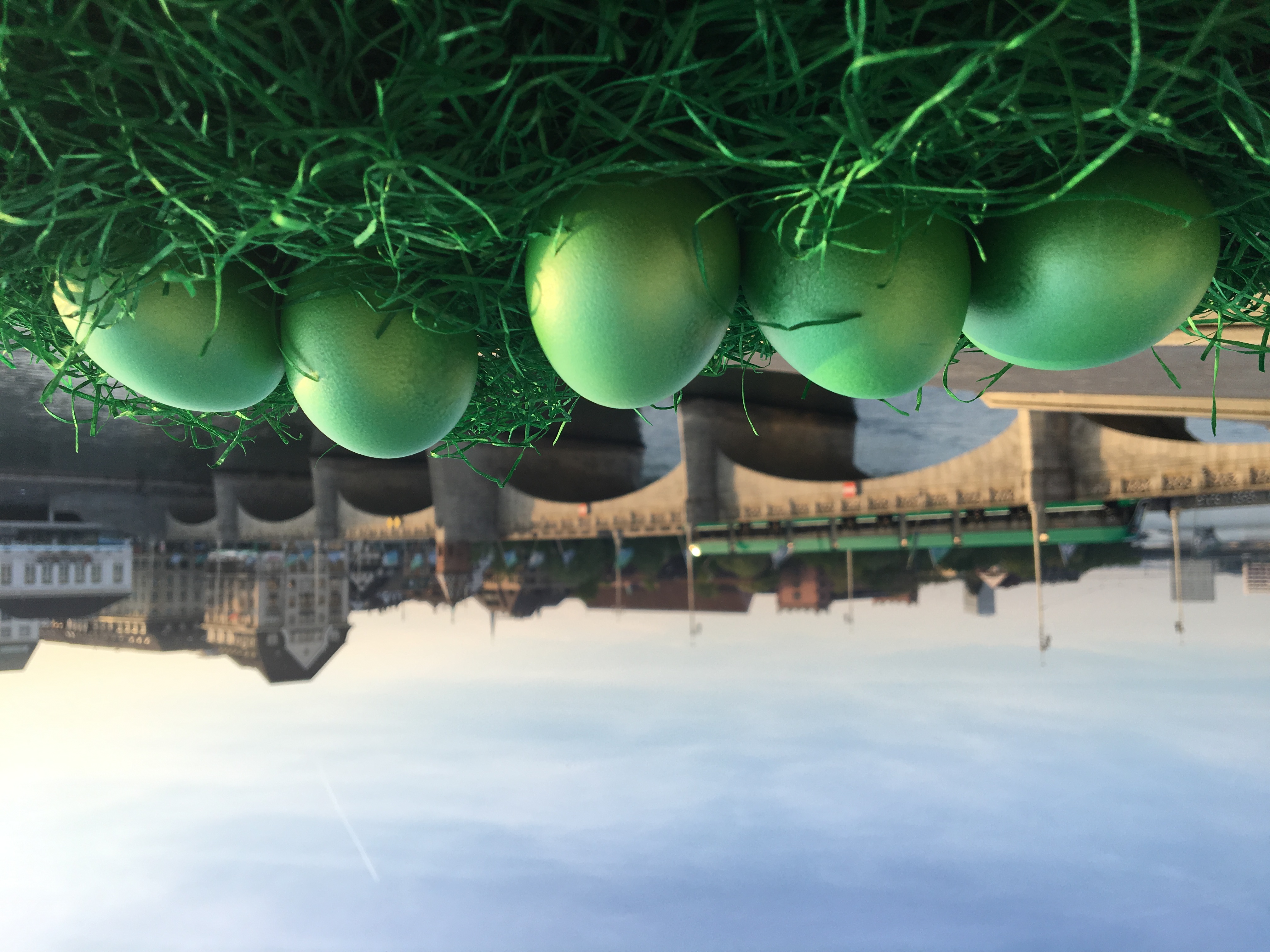 Mach mit beim BVB Ostersuchspiel