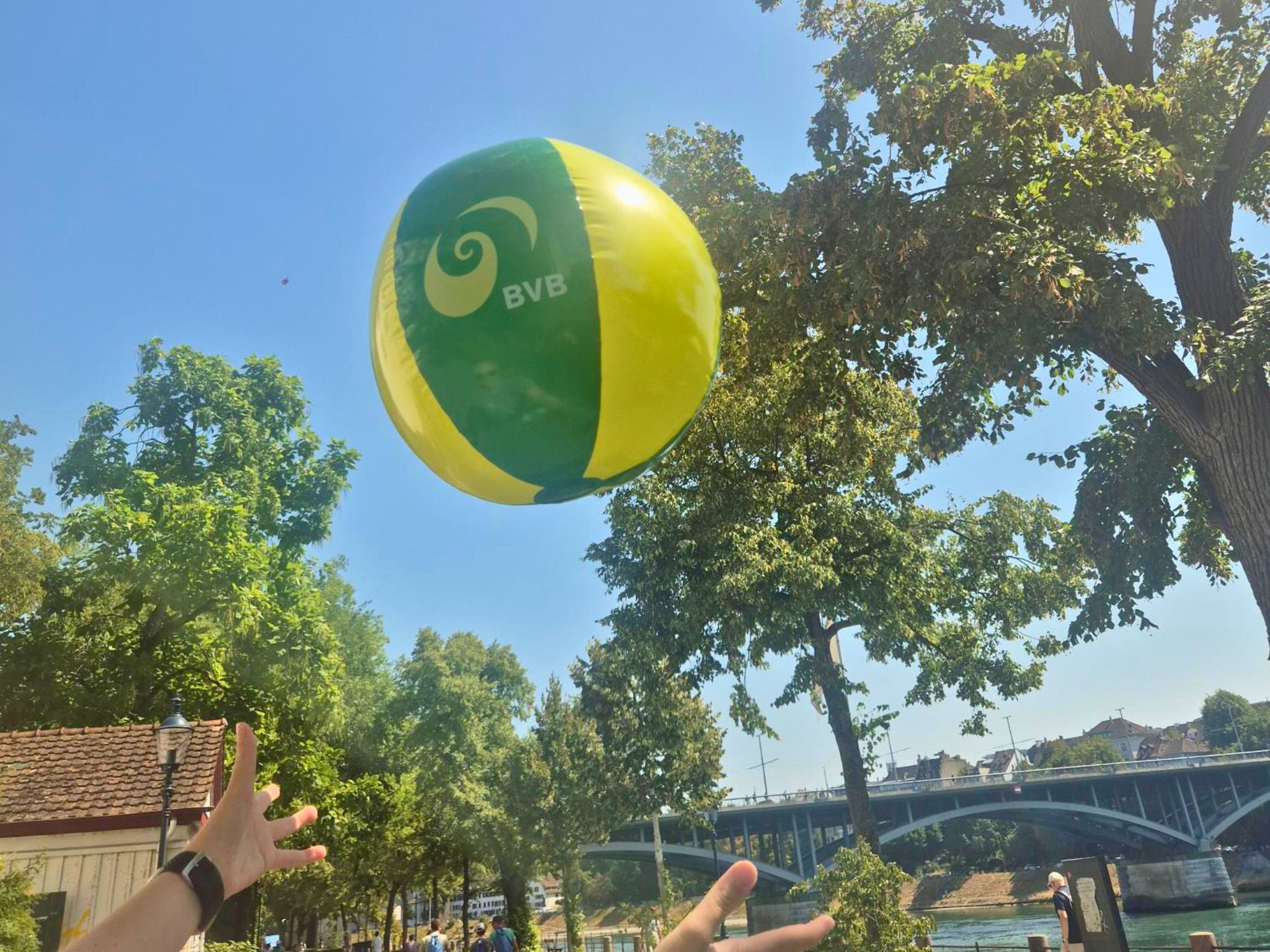 Sommer, Sonne, BVB-Wasserball