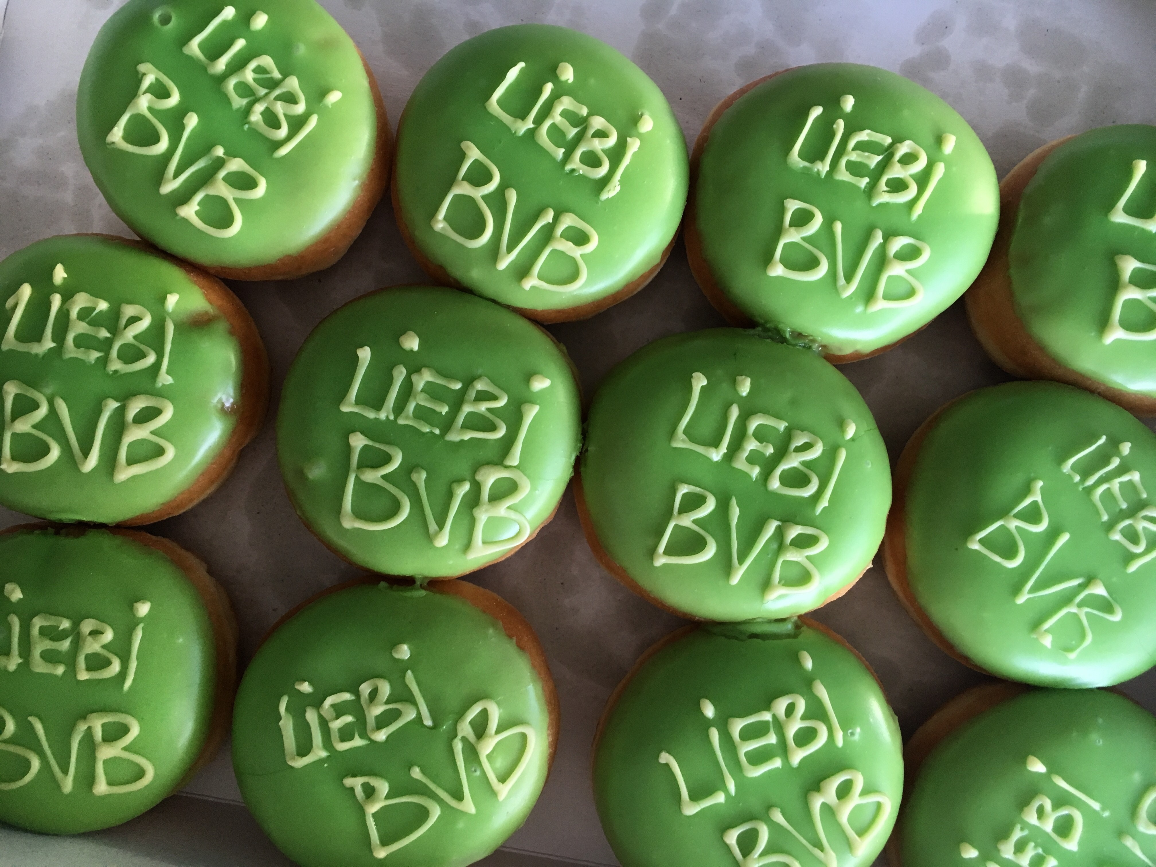 #caption4 Liebi BVB Vol. 5 - Dienstausfälle